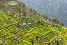 laos